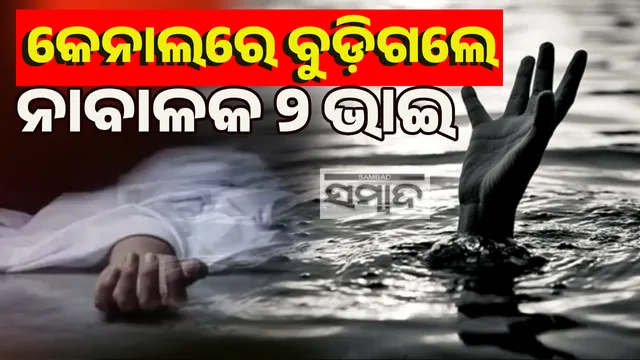 Two brothers drawn in canel. 