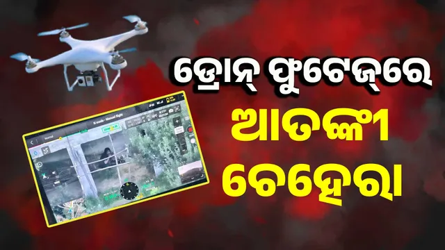 ଗୁଜଚୁତିୂ