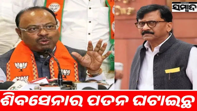 Sanjay Raut has caused the downfall of Shiv Sena, alleges Bawankule