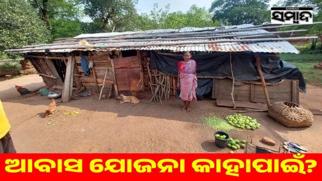 Three members, including a widowed tribal elder, are living in a dilapidated house, without any attention from the administration.