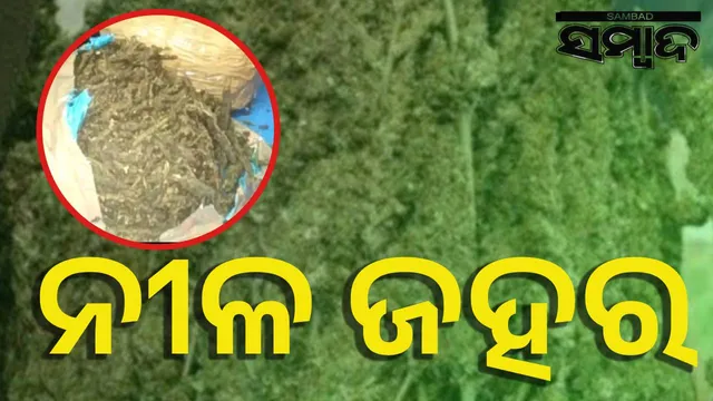 Contraband in Kandhamal district.