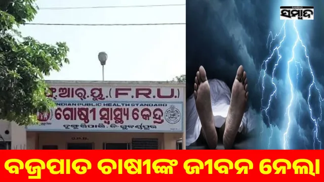 It's expensive to go feed the cattle: Farmer's life lost in thunderstorm