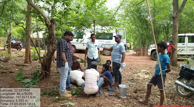 Lightning in Bangiriposhi in Mayurbhanj district.