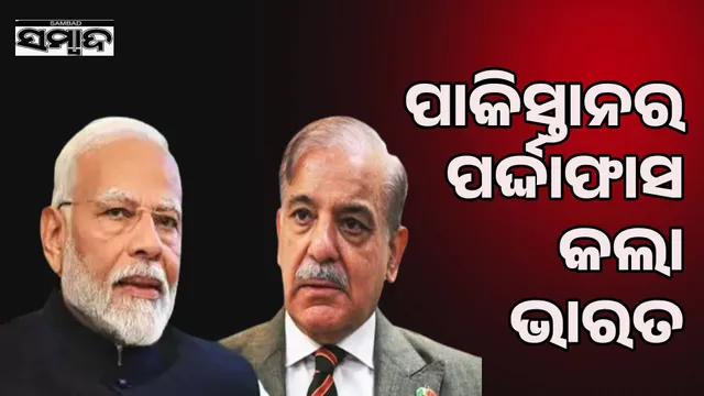 Pakistan itself responsible for violating Indus Water Treaty: India