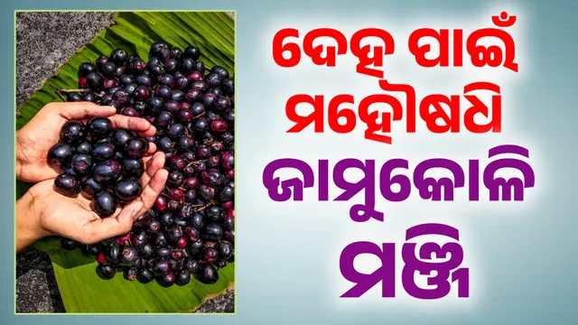 jamun