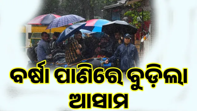 ଗୁଜଚ ୂଚୂ