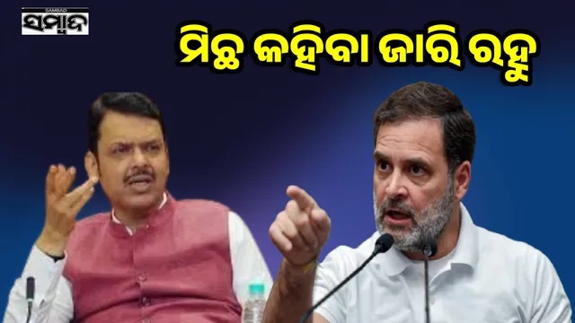 Fadnavis calls Rahul's allegations fake news