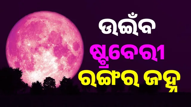 ଷ୍ଟ୍ରବେରୀ