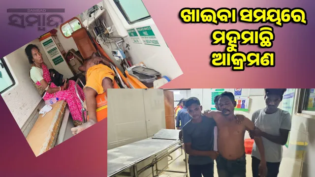 7 Lamps employees seriously injured in bee attack