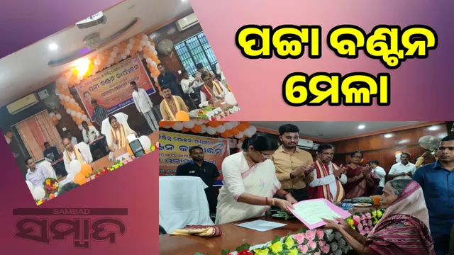 Deputy Chief Minister distributes land plots to 163 people