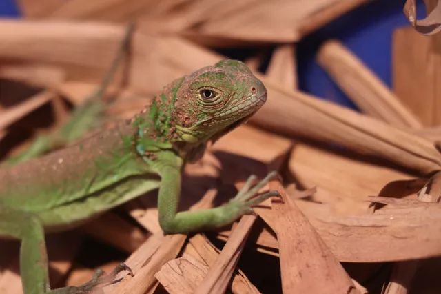 62c6925b-2dc9-4d3f-9972-159f277133e5