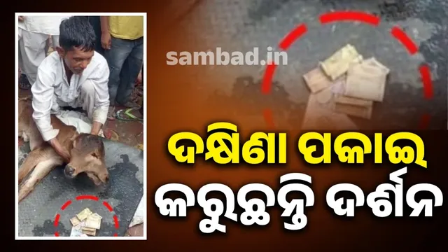 0f302614-82e4-43c7-8ee5-2e81c7bf332f