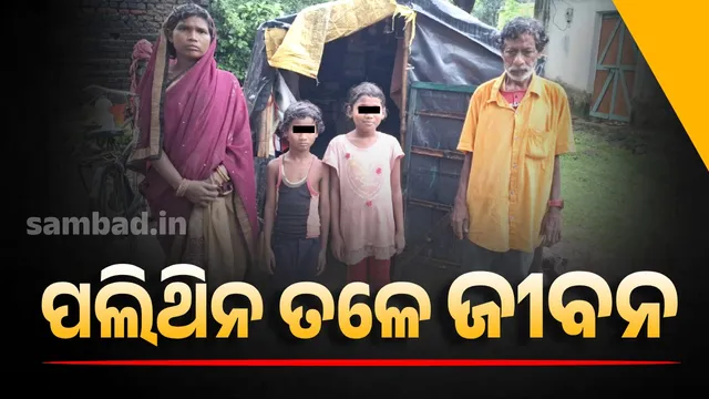 920df053-3e35-4e69-b766-266b04a8f794