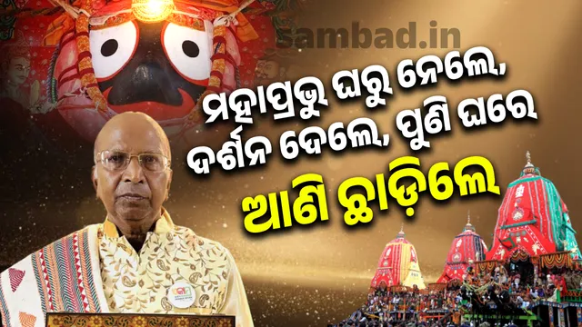 Neewtwew Project (8)