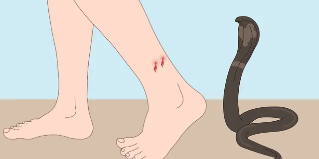 2204084e-4397-48fa-b4a9-a9dc38092ccd