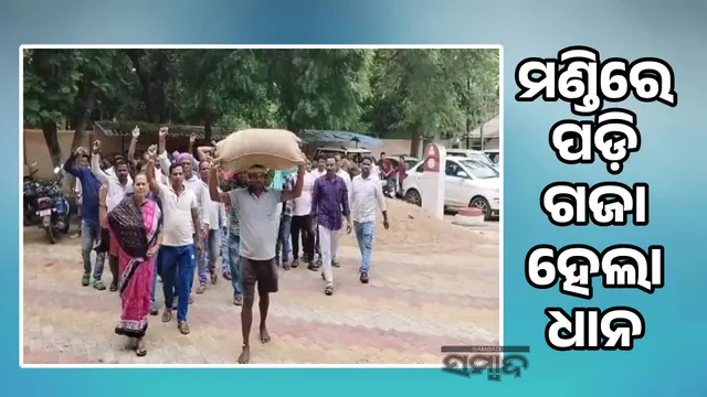 Unsold grain in Kotsam Lai fell in the market and was wasted: Complaint to the District Magistrate