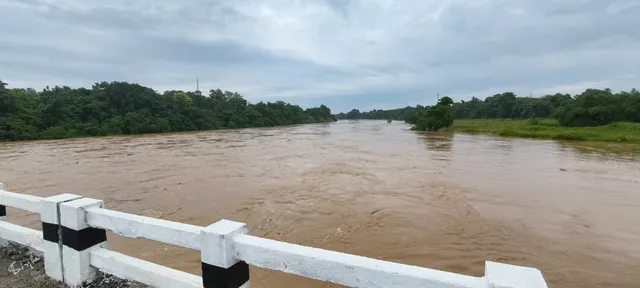 c1e23e6a-63c6-4125-8c6f-7cab61248d06