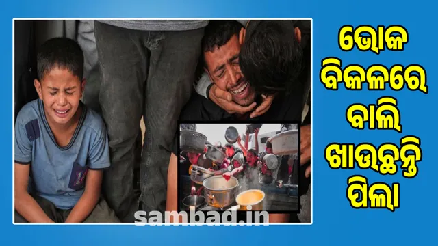 Israel is killing hungry children in Gaza!: Hundreds killed in food distribution center, shelling on relief camp