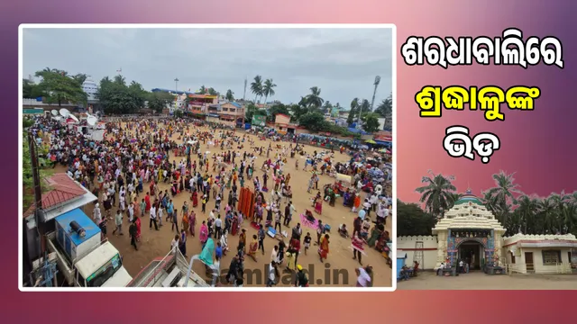 Vending Zone Free Sharadhabali: Ramp makes it easy to see the four statues