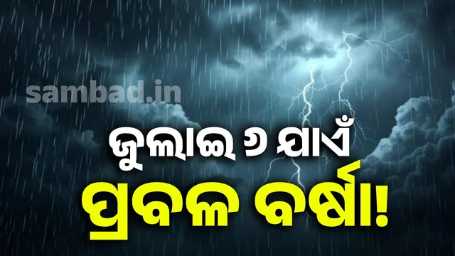 55242cea-724c-4f8e-a751-75f6bcb6461a