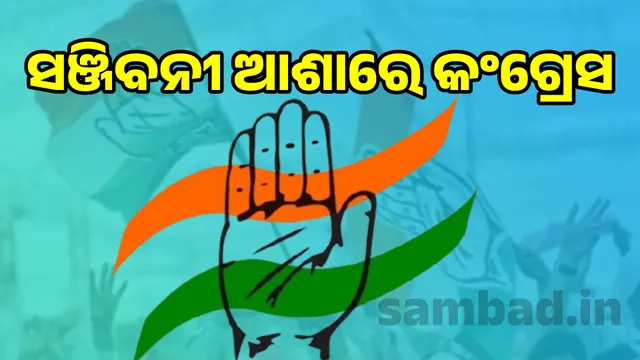 Clan feud in district Congress: 6 president changes in 10 years