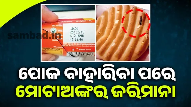 d48eedf3-76c2-43e6-9917-3a8ee350c944