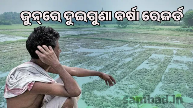Farmers are sitting with their heads in their hands: Due to heavy rain, farming is not possible