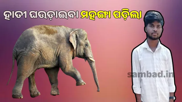 crushed with fist and trampled under feet