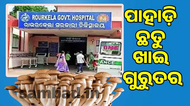 Eating mushroom expensive: Couple in critical condition