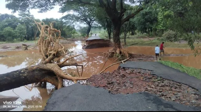 ff3f500f-a849-42ed-ad78-a7e2f4477d4f