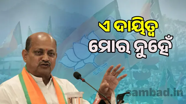 BJP government will play a long innings: Manmahan