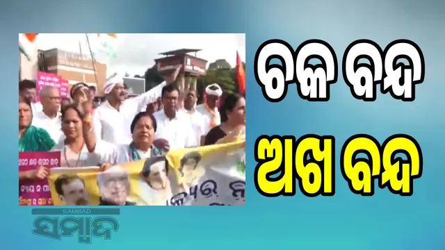 Congress picketing in the main street of the capital