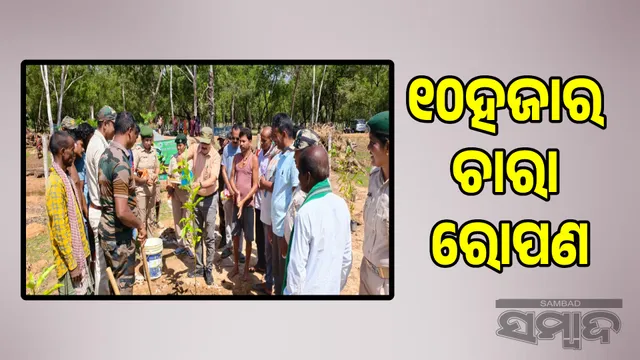 10,000 saplings planted  Forest Department in collaboration with  Sambad Aama Odisha
