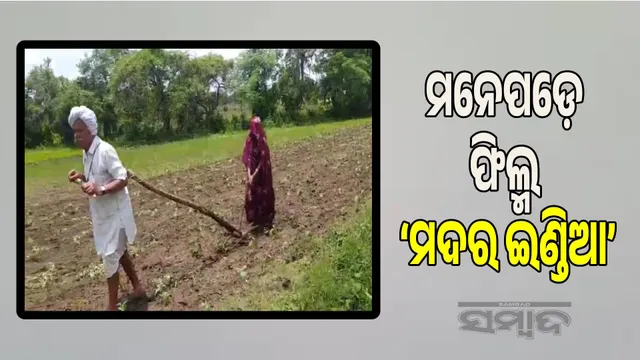 Like the film 'Mother India', the father-in-law is pulling the plough like an ox, the daughter-in-law is ploughing the field
