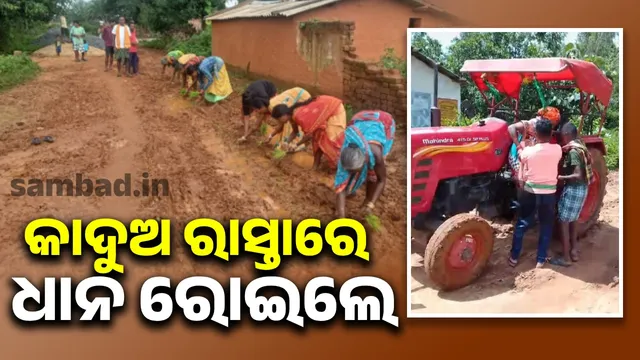 Protest against paddy cultivation on muddy roads: Demand for tarmac roads
