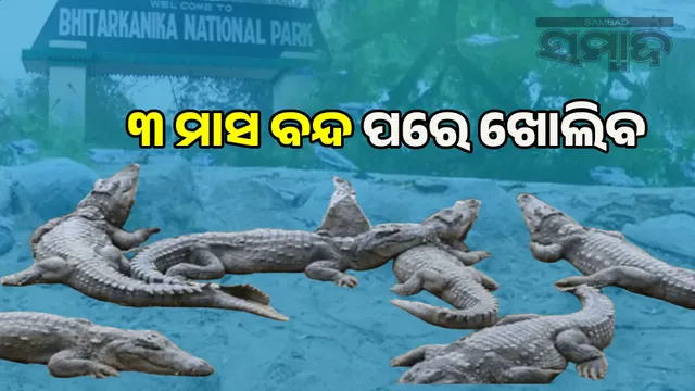 Bhitarkanika to open from tomorrow