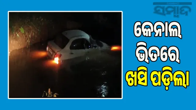 Car falls into canal, 2 injured