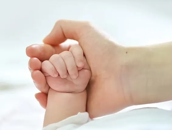 6581c5da-0e46-4b16-8ddf-bd33b536e0ed (1)