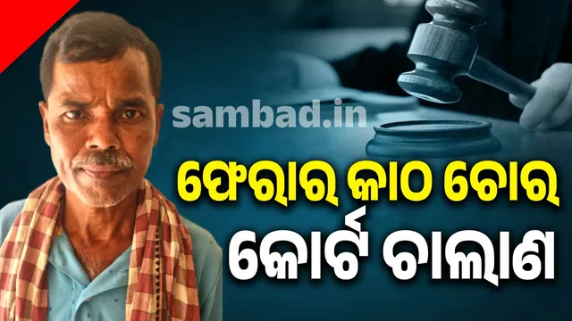 Forest Department prosecutes absconding accused in timber theft case