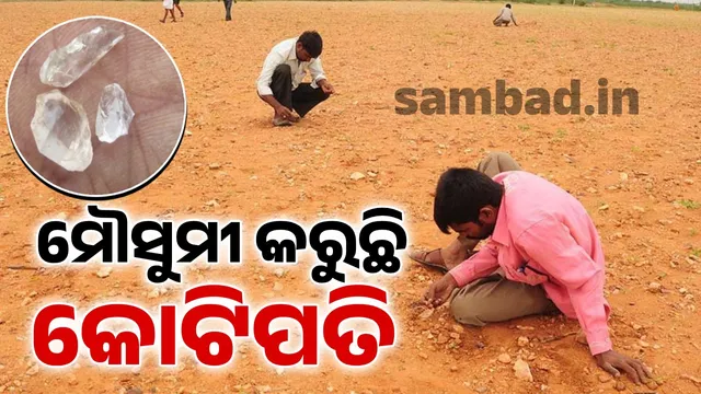 People come here every monsoon to become millionaires: A story of two districts in Andhra Pradesh