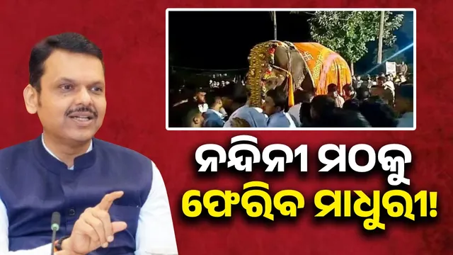 Will approach Supreme Court to bring Madhuri back: Fadnavis