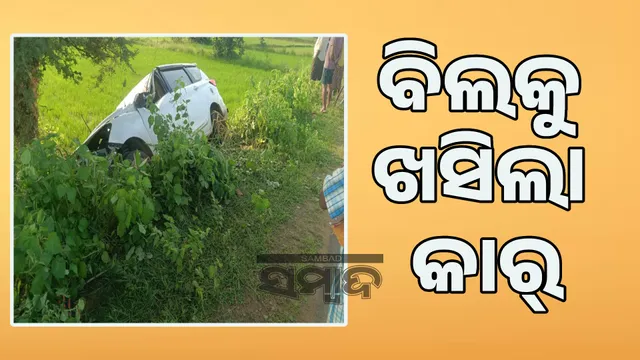 Car loses balance and falls into a ditch: One dead