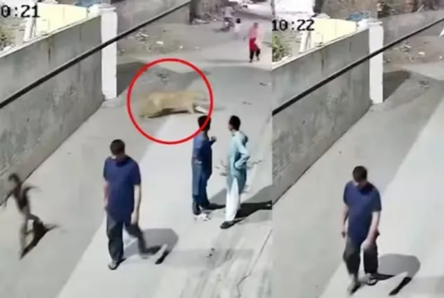 5fad2698-1fd4-4ba0-b82f-b30cc81263d1