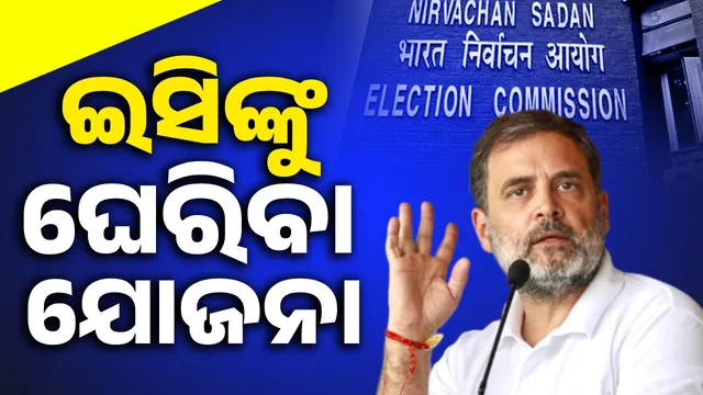 Website and missed call number released for 'vote theft' allegations: Rahul's plan to corner EC