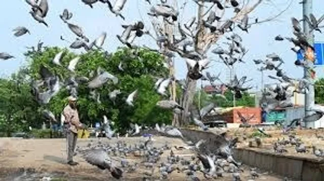 4396fb3d-ce53-4651-ae3c-5094b0d04d09