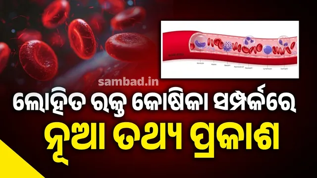 Blood clots without platelets: Surprising fact discovered about red blood cells after 400 years