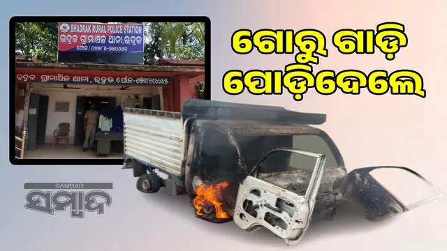 People set fire to the cattle mafia vehicle