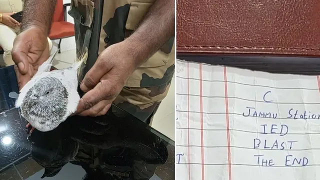 4cb05203-d389-4822-8b0c-1d8a80fe61e4