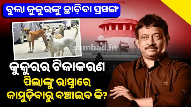 New Project (27) (1)