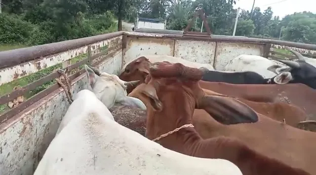 3963f219-78ef-4a6e-8ddb-9f33f98a9e56